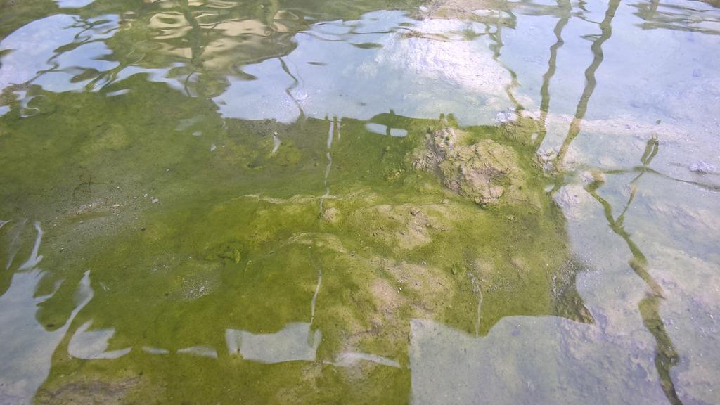 Hotel Terme Belvedere Abano Terme Dış mekan fotoğraf