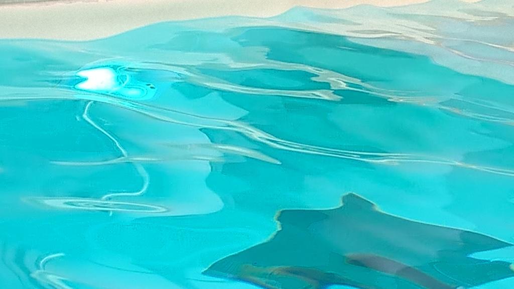 Hotel Terme Belvedere Abano Terme Dış mekan fotoğraf